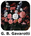 GB Gavarotti